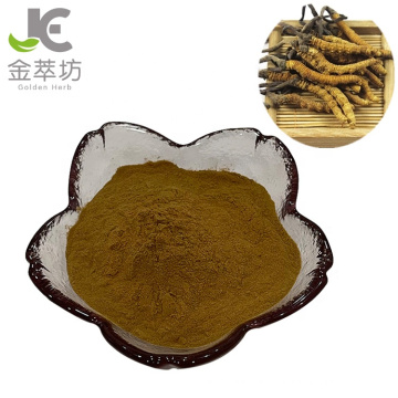 Factory supply cordyceps extract cordyceps polysaccharide powder 40%